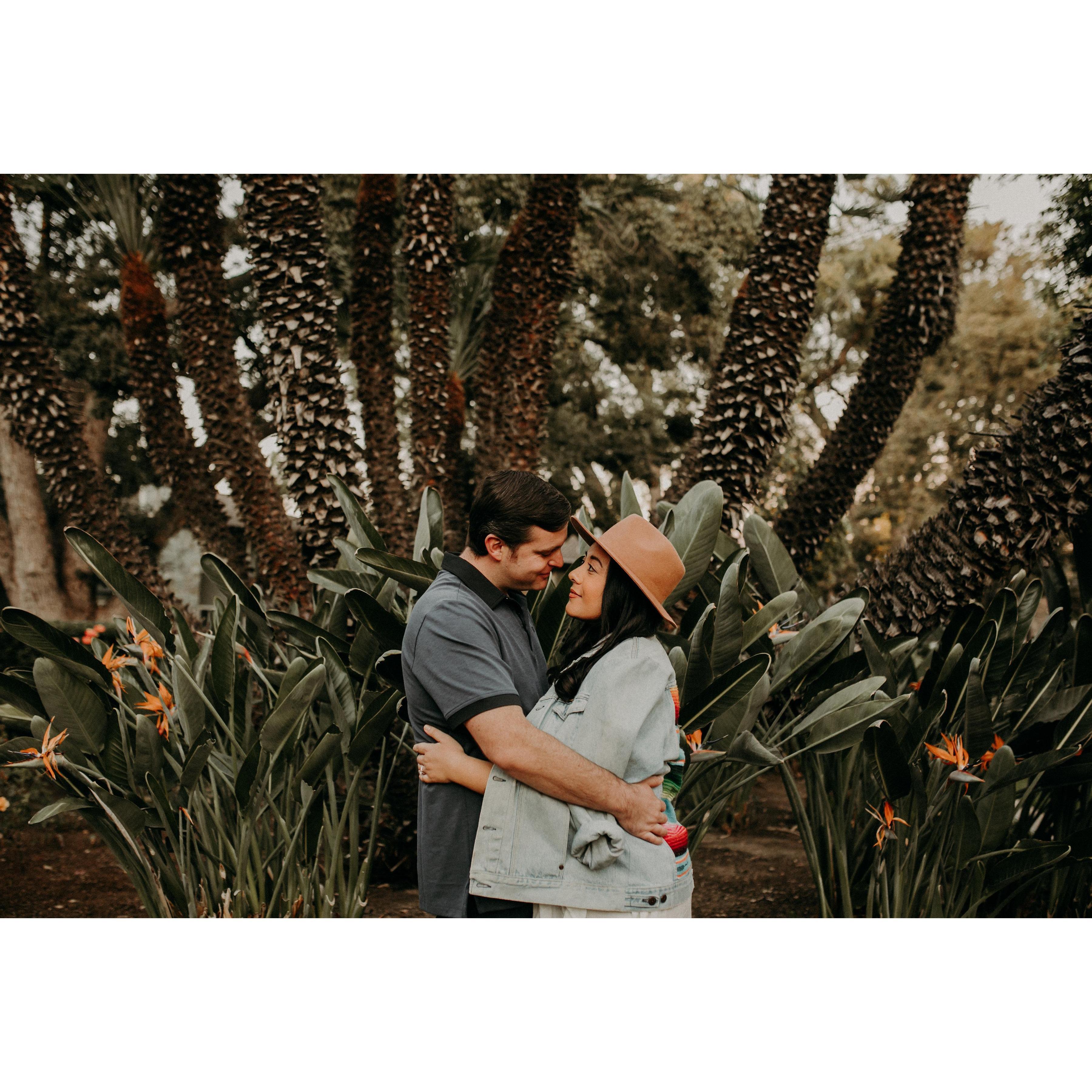 In the gardens of the Wrigley mansion.