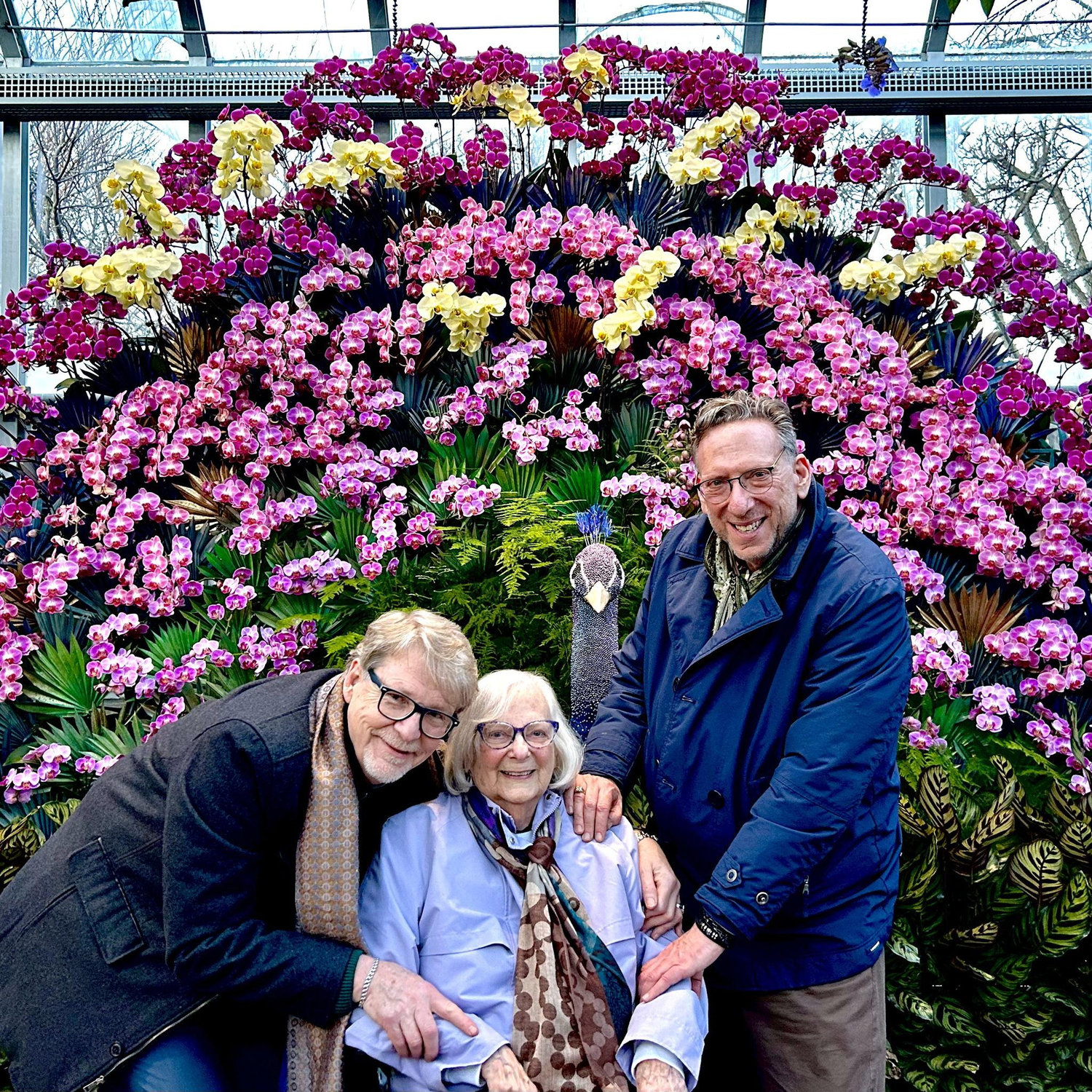 Orchid Show with Mom at Chicago Botanical Gardens