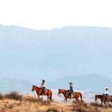 Vino Vaqueros Horseback Riding