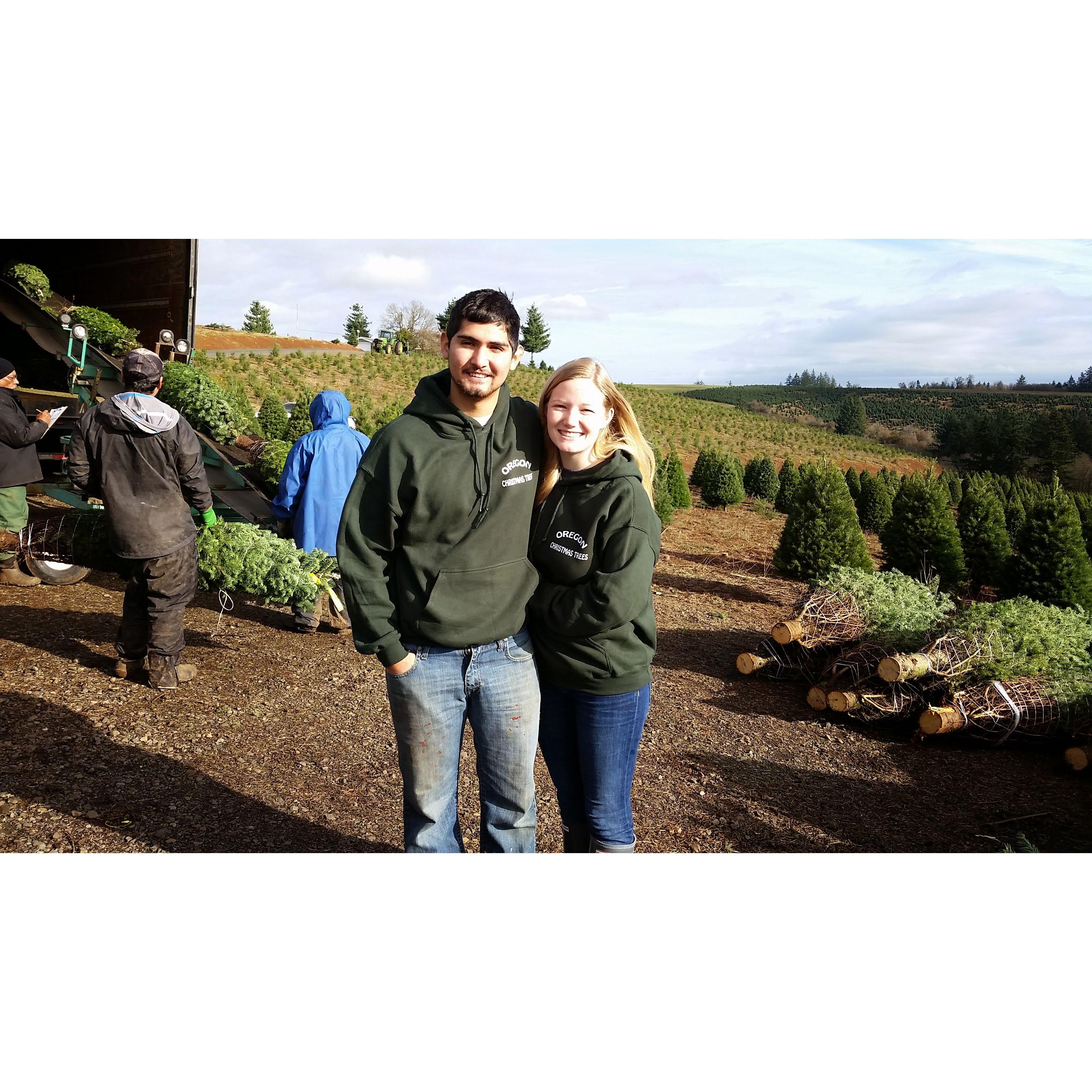 Helping out Victor's family with their Christmas trees. November, 2014.