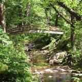 Asheville Botanical Garden