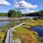 Högbyn Stora Aborrtjärn - Lake with boardwalks