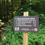 Take a hike up Mount Tom