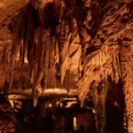 Mammoth Cave National Park