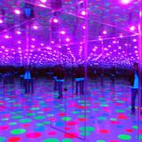 Mattress Factory Contemporary Art Museum