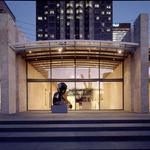 Nasher Sculpture Center