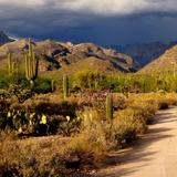 Sabino Canyon Recreation Area