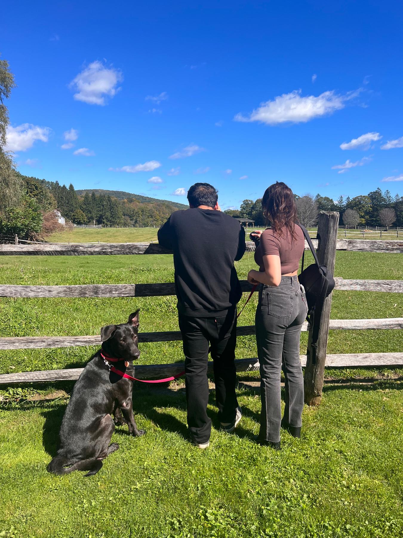 Our family trip to Vermont to see fall foliage