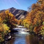 Fall Foliage Hikes