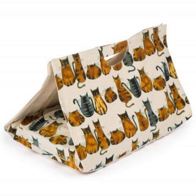 Cat-serole Dish Carrier