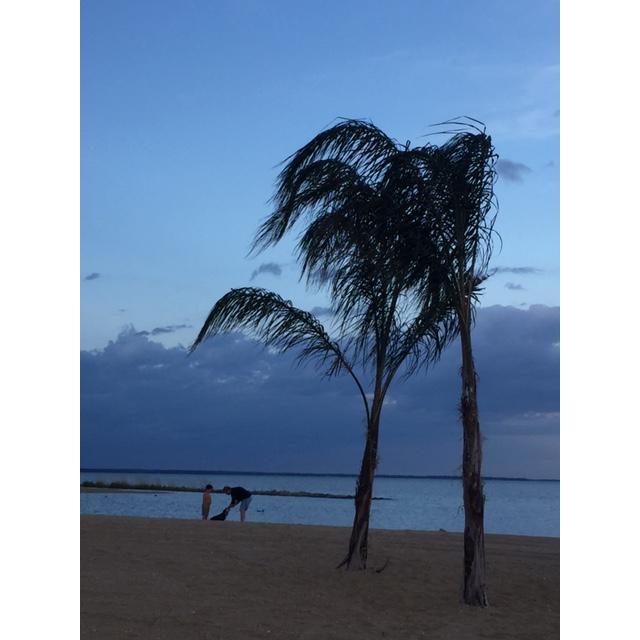 Ryan, Hudson and our dog named Waylon at our favorite spot on the beach