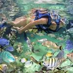 Snorkeling