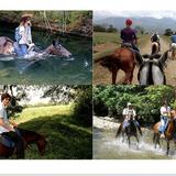 Cabalgatas