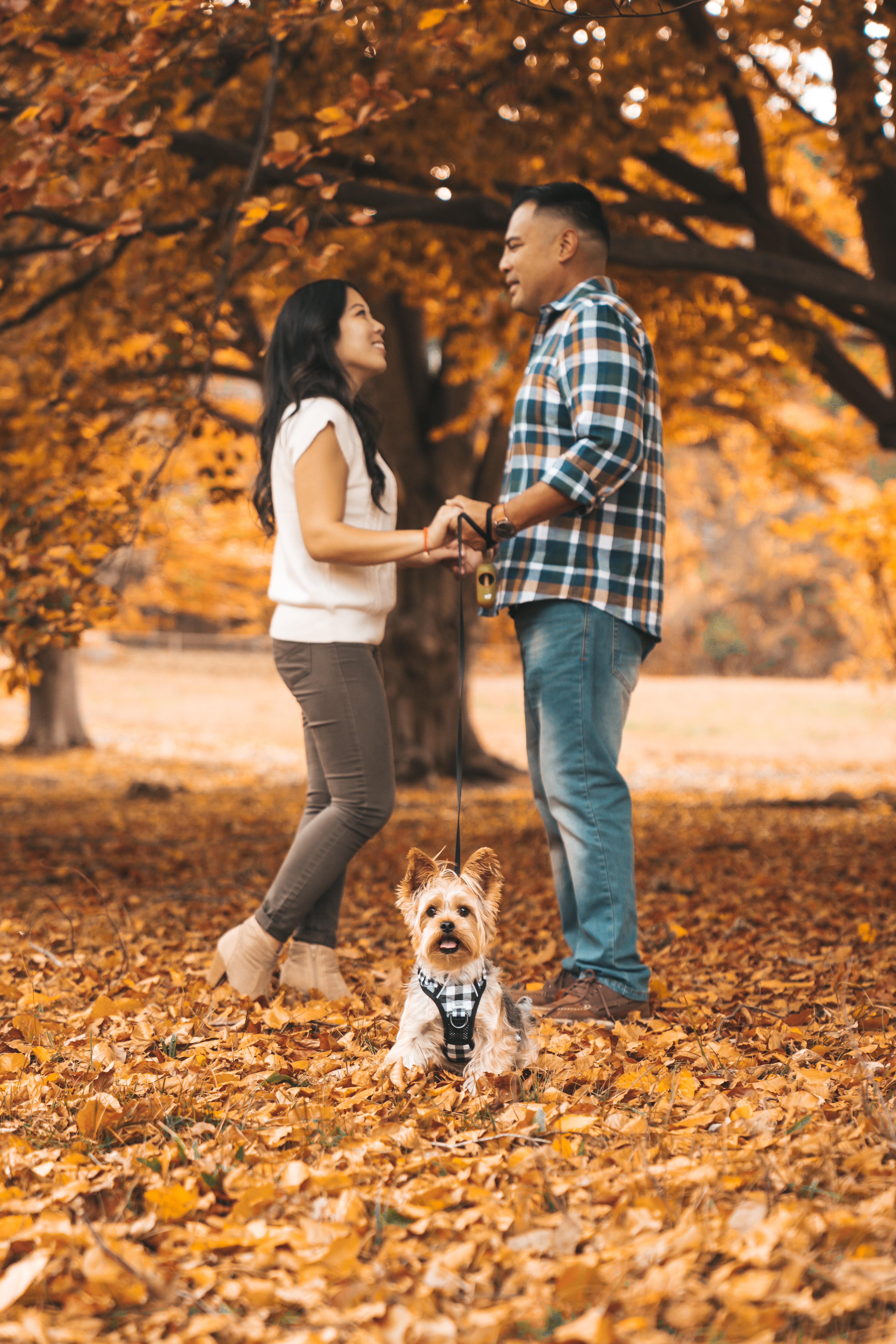 03ab54fb-2730-47e6-a7d1-14f0fd2c413f