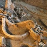 Waco Mammoth National Monument