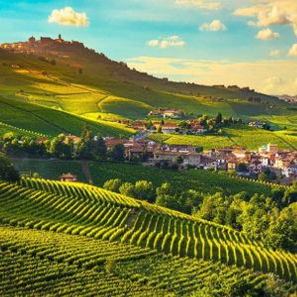 Tuscany wine country day - Honeymoon
