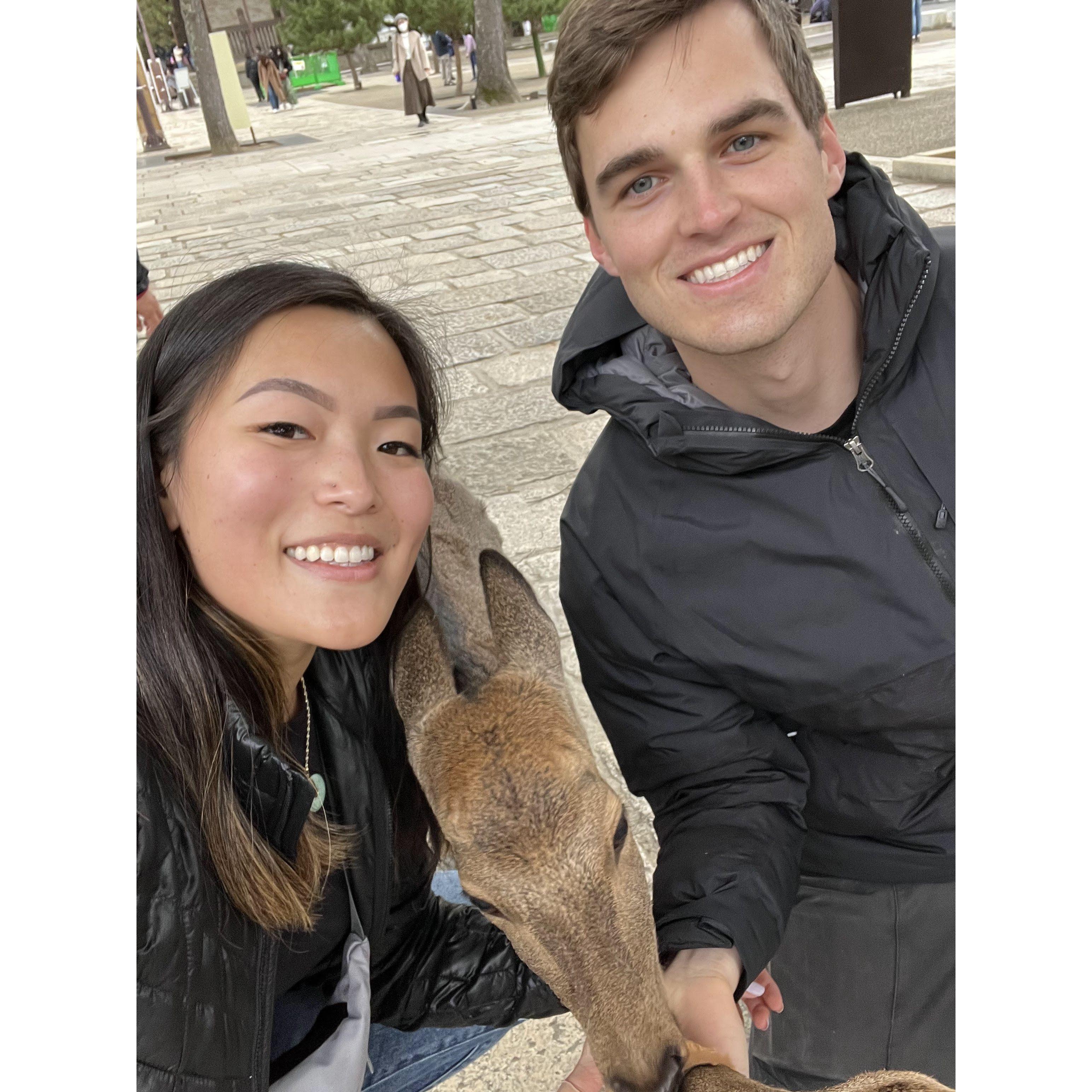 Feeding Deer in Nara, Japan
