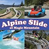 Alpine Slide at Magic Mountain