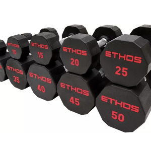 (20lb dumbbell) ETHOS Rubber Hex Dumbbell