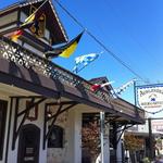 The Auslander