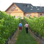 Newport Vineyards