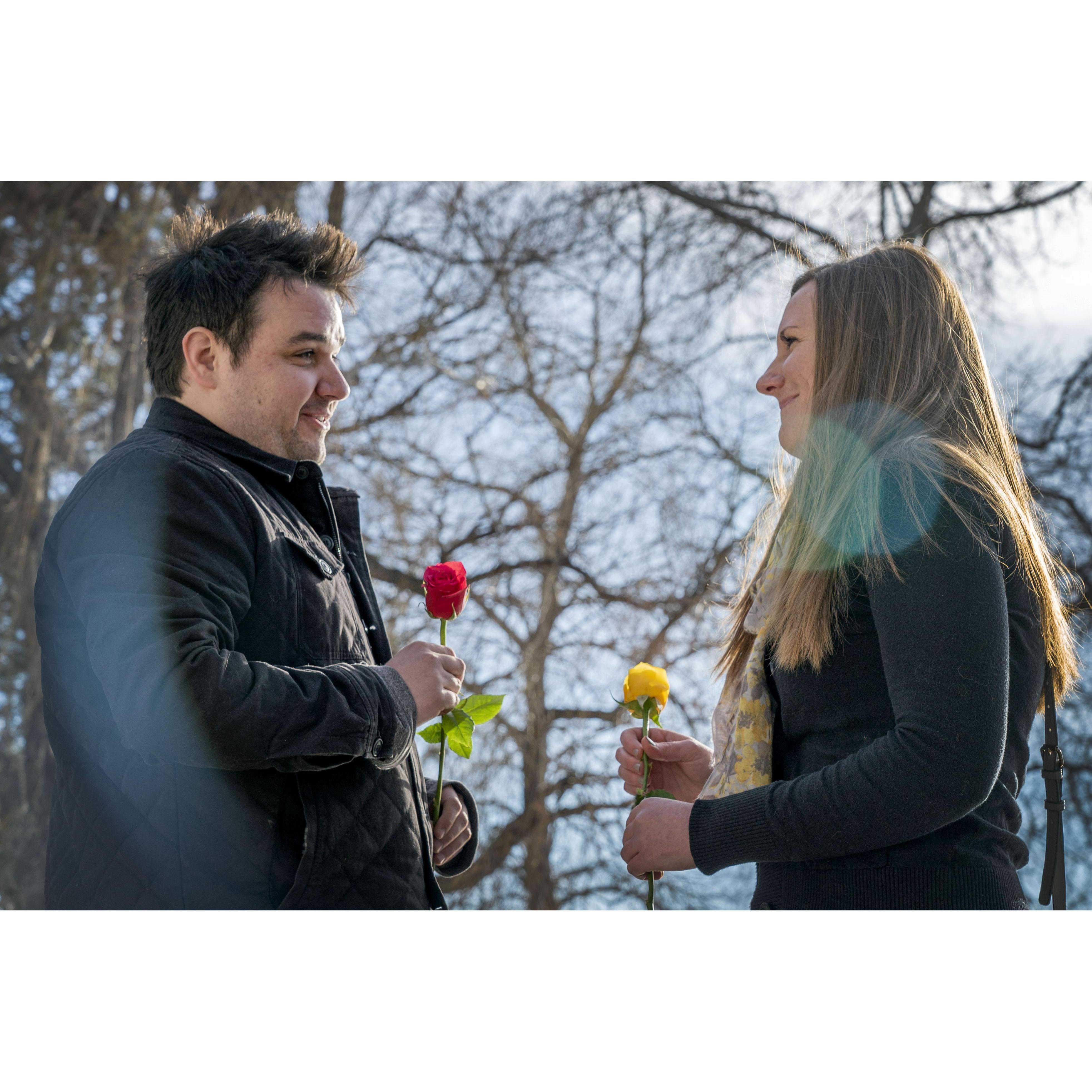 Each rose represented something Jonathan loves about Danica :)