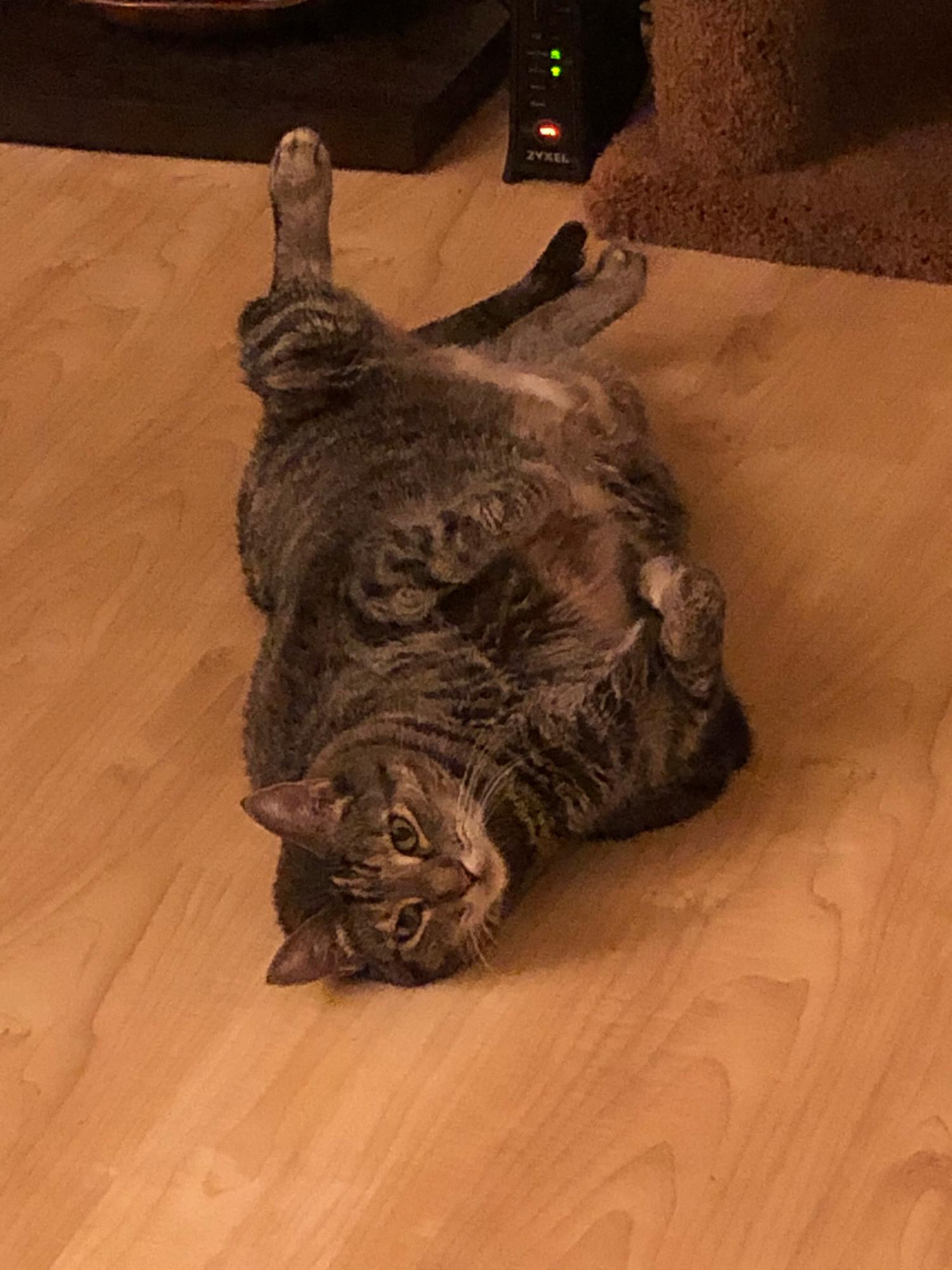 Chloe relaxing and feeling fine