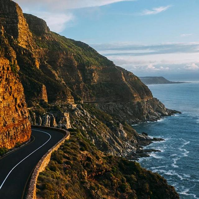 Honeymoon Activity: Cape Peninsula Tour