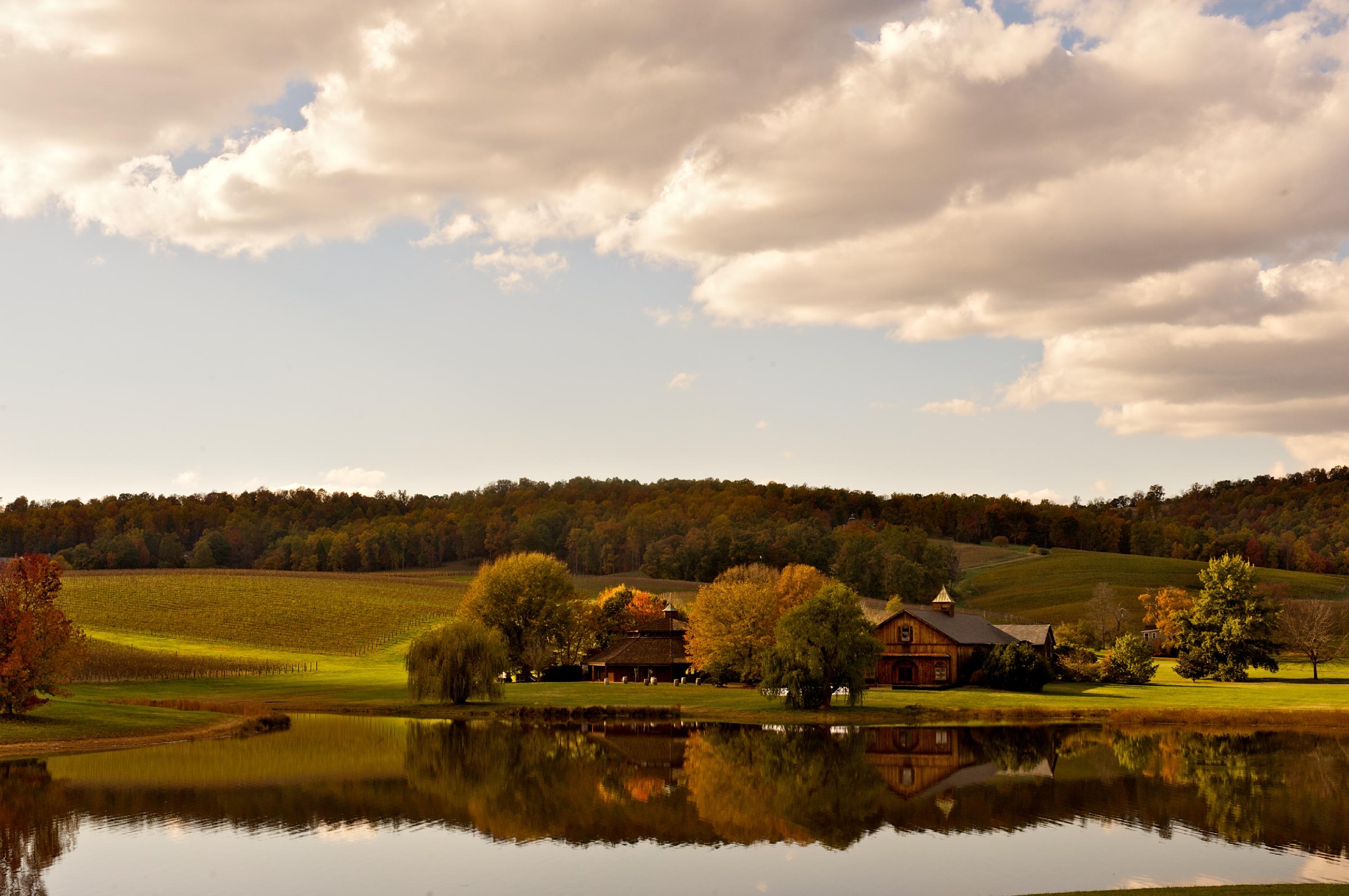 The Wedding Website of Leonardo Bodmer and Jocelyn Brackett