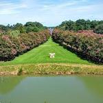 Norfolk Botanical Garden