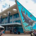 Newport Aquarium
