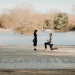 Piedmont Park