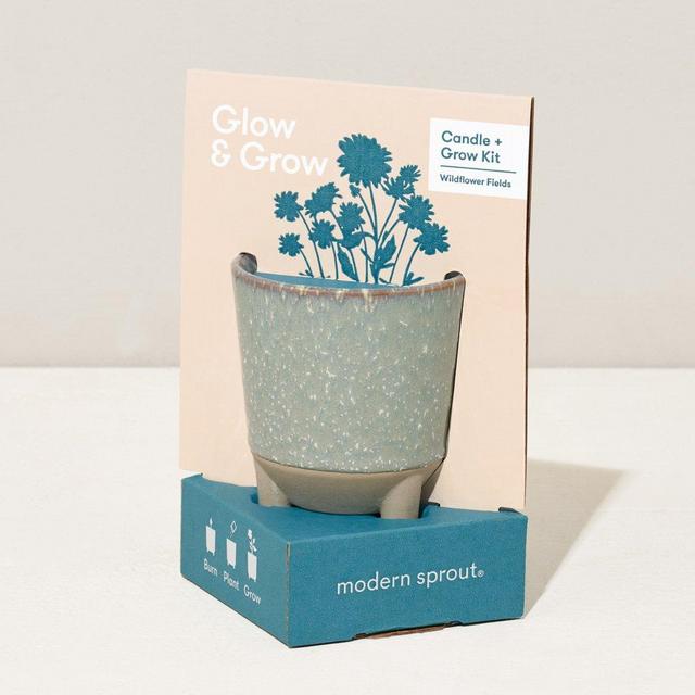 Glow and Grow - Wildflower Fields