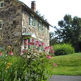 Tyler Arboretum