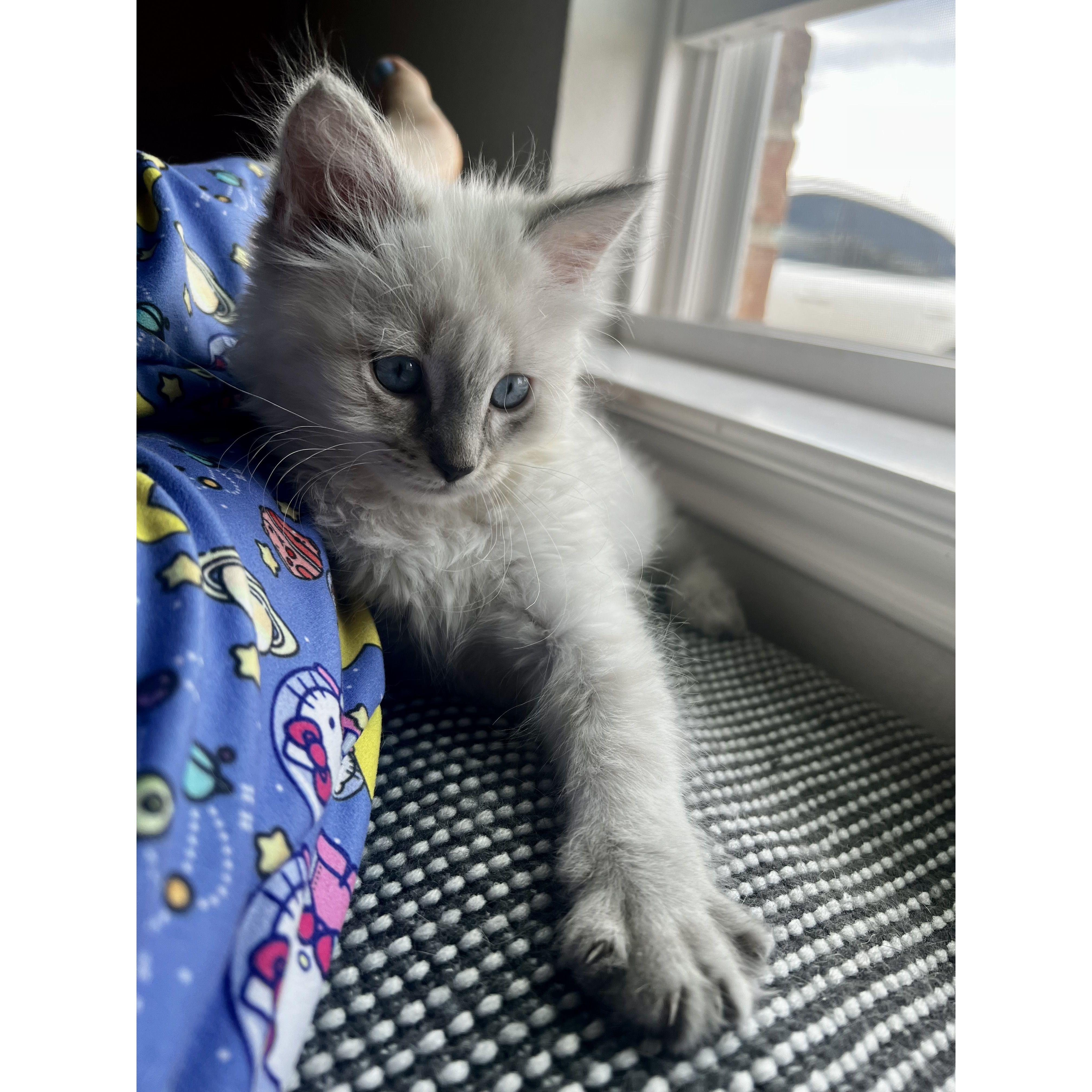 Winnie