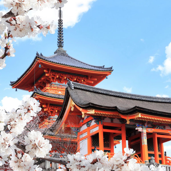 Japan Honeymoon Fund