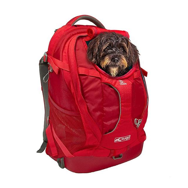 Kurgo Dog Carrier Backpack for Small Pets - Dogs & Cats TSA Airline Approved Cat Hiking or Travel Waterproof Bottom G-Train K9 Ruck Sack Red Black