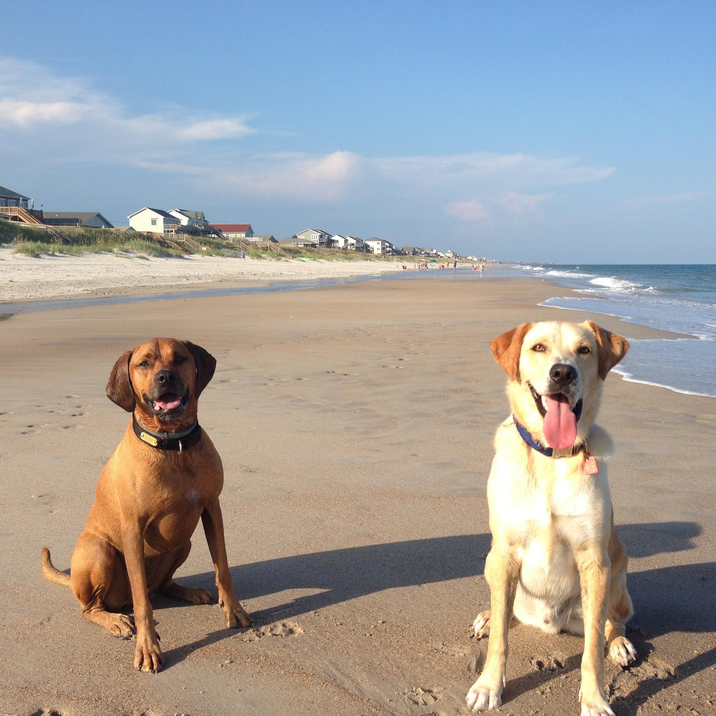 I think they love Topsail as much as we do!
