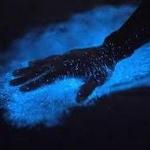 Bahía Bioluminiscente