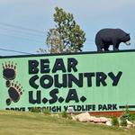 Bear Country USA