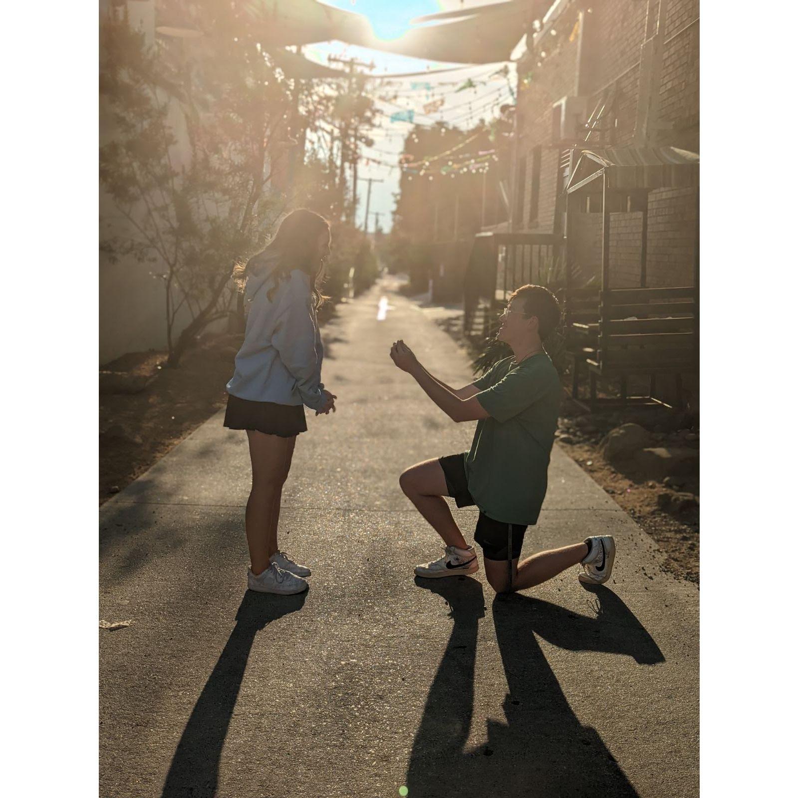 The proposal!!