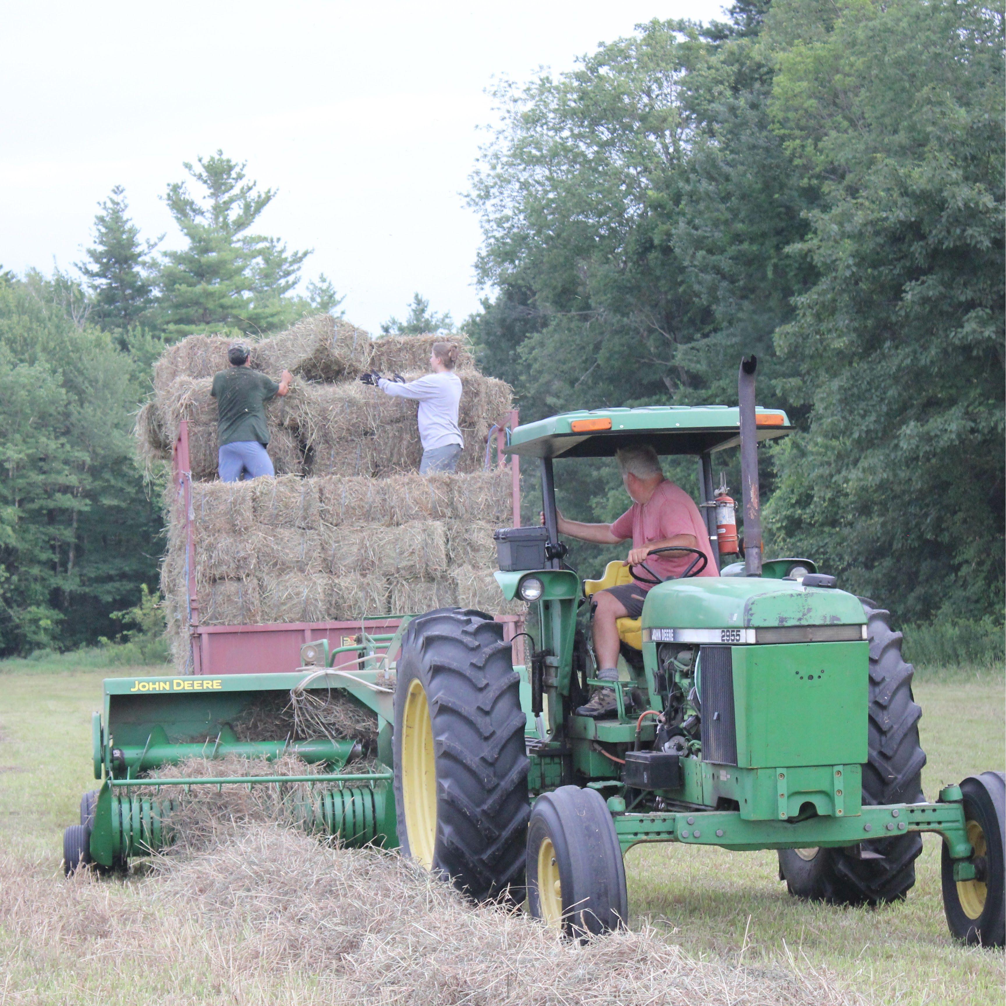 Jake and Meghan helping Andy with hay