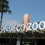 San Diego Zoo Safari Park