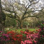 Eden Gardens State Park