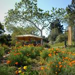 California Botanic Garden