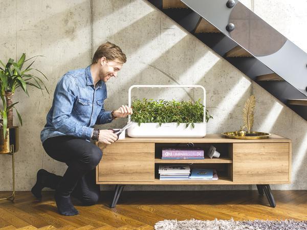 The Smart Garden 9