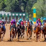 Oaklawn Hot Springs