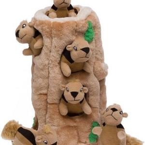 Outward Hound Hide A Squirrel Puzzle Dog Toy