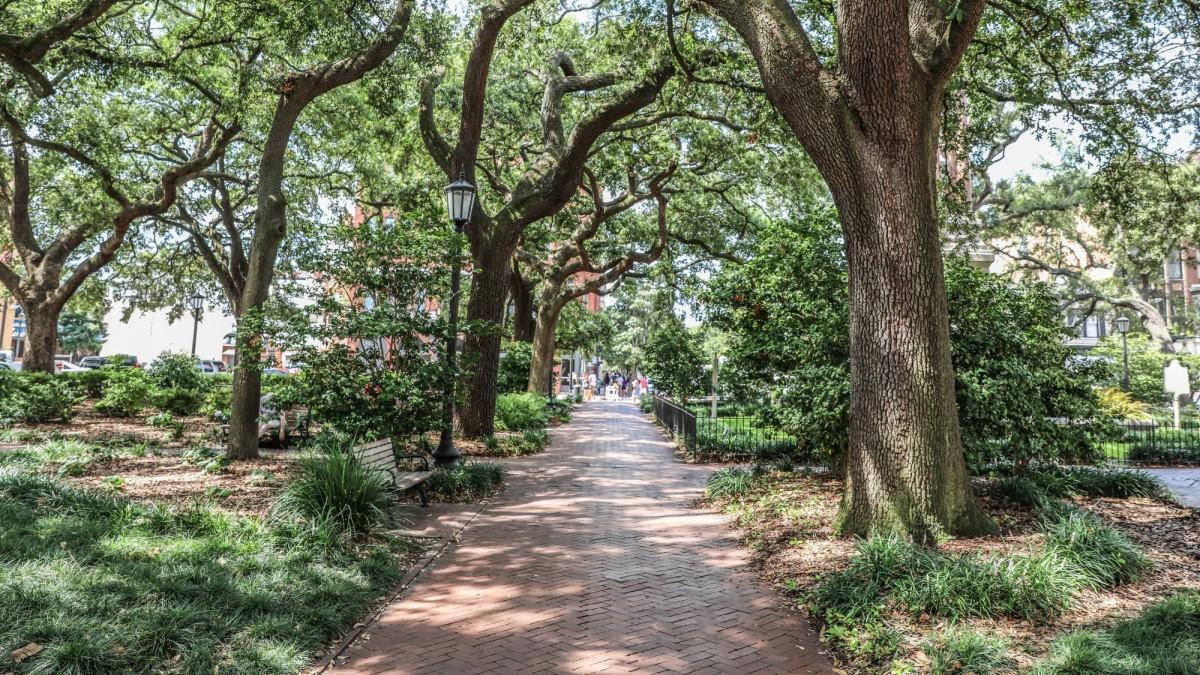 The Wedding Website of Kara Netherton and Chris Dial