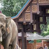 Denver Zoo